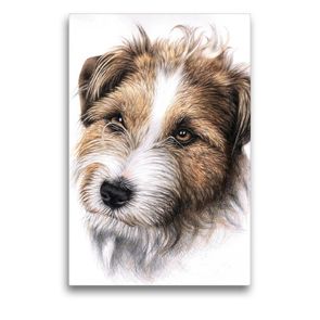 Premium Textil-Leinwand 50 x 75 cm Hoch-Format Jack Russell Terrier | Wandbild, HD-Bild auf Keilrahmen, Fertigbild auf hochwertigem Vlies, Leinwanddruck von Nicole Zeug