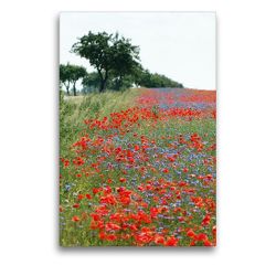 Premium Textil-Leinwand 50 x 75 cm Hoch-Format Mohnfeld. Landschaft im Havelland. | Wandbild, HD-Bild auf Keilrahmen, Fertigbild auf hochwertigem Vlies, Leinwanddruck von Anja Frost