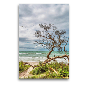 Premium Textil-Leinwand 50 x 75 cm Hoch-Format Ostsee wild und romantisch | Wandbild, HD-Bild auf Keilrahmen, Fertigbild auf hochwertigem Vlies, Leinwanddruck von Natalja Thomas