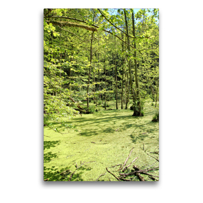 Premium Textil-Leinwand 50 x 75 cm Hoch-Format Sumpf im Nationalpark Jasmund auf Rügen | Wandbild, HD-Bild auf Keilrahmen, Fertigbild auf hochwertigem Vlies, Leinwanddruck von Anja Frost