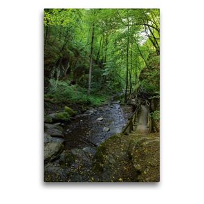 Premium Textil-Leinwand 50 x 75 cm Hoch-Format Wanderweg am Ehrbach | Wandbild, HD-Bild auf Keilrahmen, Fertigbild auf hochwertigem Vlies, Leinwanddruck von Anja Frost