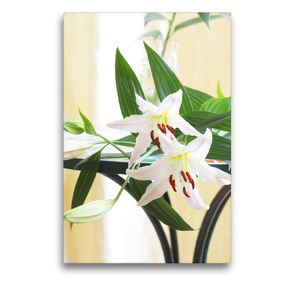 Premium Textil-Leinwand 50 x 75 cm Hoch-Format Weiße Lilien liegen auf einem Tisch | Wandbild, HD-Bild auf Keilrahmen, Fertigbild auf hochwertigem Vlies, Leinwanddruck von Gisela Kruse