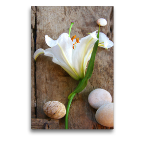 Premium Textil-Leinwand 50 x 75 cm Hoch-Format Weiße Lilienblüte und Steine auf altem Holz | Wandbild, HD-Bild auf Keilrahmen, Fertigbild auf hochwertigem Vlies, Leinwanddruck von Gisela Kruse
