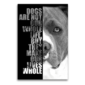 Premium Textil-Leinwand 60 x 90 cm Hoch-Format American Staffordshire Terrier | Wandbild, HD-Bild auf Keilrahmen, Fertigbild auf hochwertigem Vlies, Leinwanddruck von Wilsigns.com – Nicole Hahn