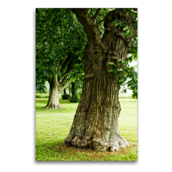 Premium Textil-Leinwand 60 x 90 cm Hoch-Format Park in Tondern, Dänemark | Wandbild, HD-Bild auf Keilrahmen, Fertigbild auf hochwertigem Vlies, Leinwanddruck von Michael Bücker