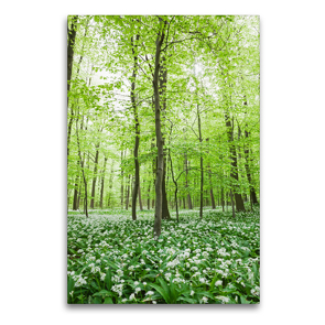 Premium Textil-Leinwand 60 x 90 cm Hoch-Format Eifel – Glücklicher Bärlauchwald | Wandbild, HD-Bild auf Keilrahmen, Fertigbild auf hochwertigem Vlies, Leinwanddruck von N N