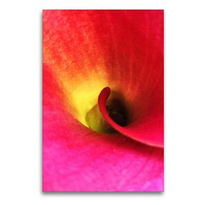 Premium Textil-Leinwand 60 x 90 cm Hoch-Format Farbenträume / Calla | Wandbild, HD-Bild auf Keilrahmen, Fertigbild auf hochwertigem Vlies, Leinwanddruck von photografie-iam.ch