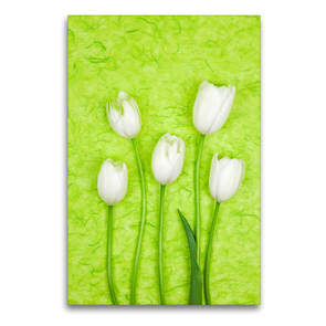 Premium Textil-Leinwand 60 x 90 cm Hoch-Format Französiche Tulpen | Wandbild, HD-Bild auf Keilrahmen, Fertigbild auf hochwertigem Vlies, Leinwanddruck von Gaby Wojciech