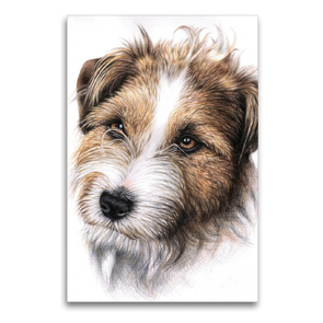 Premium Textil-Leinwand 60 x 90 cm Hoch-Format Jack Russell Terrier | Wandbild, HD-Bild auf Keilrahmen, Fertigbild auf hochwertigem Vlies, Leinwanddruck von Nicole Zeug