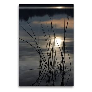 Premium Textil-Leinwand 60 x 90 cm Hoch-Format Stille – Natur im Winterschlaf | Wandbild, HD-Bild auf Keilrahmen, Fertigbild auf hochwertigem Vlies, Leinwanddruck von Martina Marten