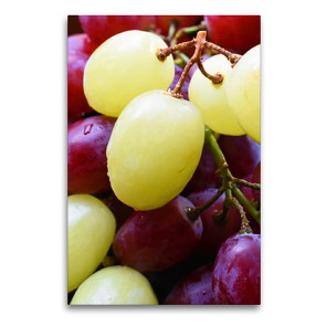 Premium Textil-Leinwand 60 x 90 cm Hoch-Format Weintrauben mit blauen und weißen Weinbeeren | Wandbild, HD-Bild auf Keilrahmen, Fertigbild auf hochwertigem Vlies, Leinwanddruck von Brigitte Dr. Deus-Neumann