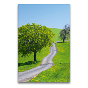 Premium Textil-Leinwand 60 x 90 cm Hoch-Format Wiesenweg durch weite Landschaft | Wandbild, HD-Bild auf Keilrahmen, Fertigbild auf hochwertigem Vlies, Leinwanddruck von Gabriele Hanke