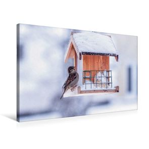 Premium Textil-Leinwand 75 x 50 cm Quer-Format Am Vogelhaus | Wandbild, HD-Bild auf Keilrahmen, Fertigbild auf hochwertigem Vlies, Leinwanddruck von Marianne Drews von Drews,  Marianne