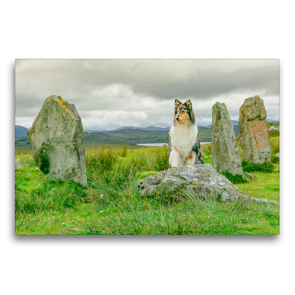 Premium Textil-Leinwand 75 x 50 cm Quer-Format An den Callanish Stones auf der Insel Lewis. | Wandbild, HD-Bild auf Keilrahmen, Fertigbild auf hochwertigem Vlies, Leinwanddruck von Julia Elling