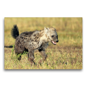 Premium Textil-Leinwand 75 x 50 cm Quer-Format Babyhyäne | Wandbild, HD-Bild auf Keilrahmen, Fertigbild auf hochwertigem Vlies, Leinwanddruck von Michael und Yvonne Herzog