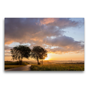 Premium Textil-Leinwand 75 x 50 cm Quer-Format Bärenwiesen am Morgen | Wandbild, HD-Bild auf Keilrahmen, Fertigbild auf hochwertigem Vlies, Leinwanddruck von H. Butschkus