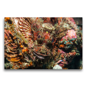 Premium Textil-Leinwand 75 x 50 cm Quer-Format Bali Drachenkopf | Wandbild, HD-Bild auf Keilrahmen, Fertigbild auf hochwertigem Vlies, Leinwanddruck von Sven Riewe