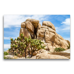 Premium Textil-Leinwand 75 x 50 cm Quer-Format Beeindruckender Joshua Tree National Park | Wandbild, HD-Bild auf Keilrahmen, Fertigbild auf hochwertigem Vlies, Leinwanddruck von Melanie Viola