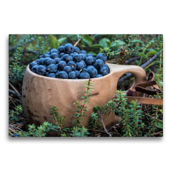 Premium Textil-Leinwand 75 x 50 cm Quer-Format Blaubeeren Finnland Sommer | Wandbild, HD-Bild auf Keilrahmen, Fertigbild auf hochwertigem Vlies, Leinwanddruck von Anke Thoschlag