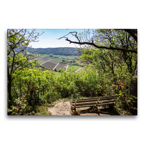 Premium Textil-Leinwand 75 x 50 cm Quer-Format Blick auf die Weinberge von Castell | Wandbild, HD-Bild auf Keilrahmen, Fertigbild auf hochwertigem Vlies, Leinwanddruck von Hans Will