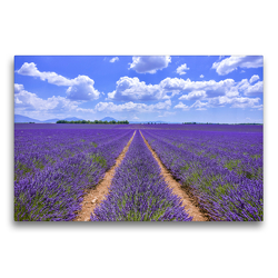 Premium Textil-Leinwand 75 x 50 cm Quer-Format Blühender Lavendel bei Valensole | Wandbild, HD-Bild auf Keilrahmen, Fertigbild auf hochwertigem Vlies, Leinwanddruck von Jürgen Feuerer