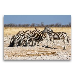 Premium Textil-Leinwand 75 x 50 cm Quer-Format Burchell Zebras an einem Wasserloch im Etosha National Park | Wandbild, HD-Bild auf Keilrahmen, Fertigbild auf hochwertigem Vlies, Leinwanddruck von Juergen Woehlke