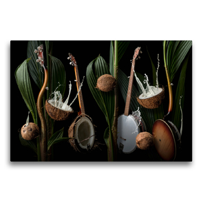 Premium Textil-Leinwand 75 x 50 cm Quer-Format Coconut banjo | Wandbild, HD-Bild auf Keilrahmen, Fertigbild auf hochwertigem Vlies, Leinwanddruck von N N