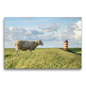 Premium Textil-Leinwand 75 x 50 cm Quer-Format Deichschafe | Wandbild, HD-Bild auf Keilrahmen, Fertigbild auf hochwertigem Vlies, Leinwanddruck von Stephan Giesers