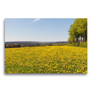 Premium Textil-Leinwand 75 x 50 cm Quer-Format Eifel – Blumenwiesen Happiness | Wandbild, HD-Bild auf Keilrahmen, Fertigbild auf hochwertigem Vlies, Leinwanddruck von Gaby Wojciech