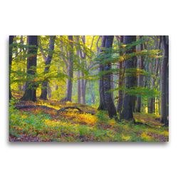 Premium Textil-Leinwand 75 x 50 cm Quer-Format Ein alter Wald | Wandbild, HD-Bild auf Keilrahmen, Fertigbild auf hochwertigem Vlies, Leinwanddruck von LianeM