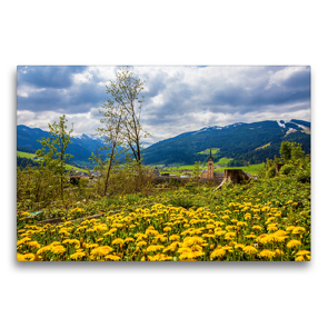 Premium Textil-Leinwand 75 x 50 cm Quer-Format Eine Löwenzahnwiese auf der Kaiserpromenade | Wandbild, HD-Bild auf Keilrahmen, Fertigbild auf hochwertigem Vlies, Leinwanddruck von Christa Kramer