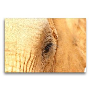 Premium Textil-Leinwand 75 x 50 cm Quer-Format Elefantenauge | Wandbild, HD-Bild auf Keilrahmen, Fertigbild auf hochwertigem Vlies, Leinwanddruck von Barbara Fraatz