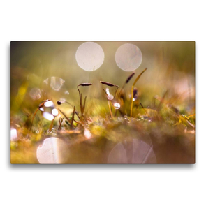 Premium Textil-Leinwand 750 x 500 cm Quer-Format Faszinierende Tropfenwelt & inspirierende Zitate | Wandbild, HD-Bild auf Keilrahmen, Fertigbild auf hochwertigem Vlies, Leinwanddruck von Andrea Potratz