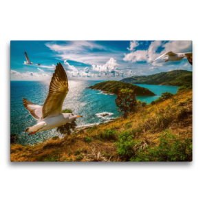 Premium Textil-Leinwand 75 x 50 cm Quer-Format Fliegende Braunkopfmöwen (Chroicocephalus brunnicephalus) | Wandbild, HD-Bild auf Keilrahmen, Fertigbild auf hochwertigem Vlies, Leinwanddruck von Arne Wünsche