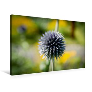 Premium Textil-Leinwand 75 x 50 cm Quer-Format Flower-Power | Wandbild, HD-Bild auf Keilrahmen, Fertigbild auf hochwertigem Vlies, Leinwanddruck von Andreas Levi – PHOTOmedia++ von Levi - PHOTOmedia++,  Andreas