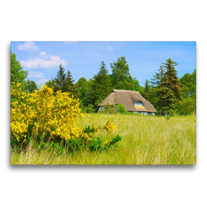 Premium Textil-Leinwand 75 x 50 cm Quer-Format Frühling in Freesenort | Wandbild, HD-Bild auf Keilrahmen, Fertigbild auf hochwertigem Vlies, Leinwanddruck von LianeM