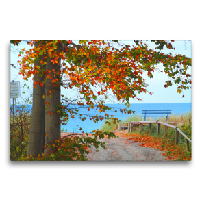 Premium Textil-Leinwand 75 x 50 cm Quer-Format Herbst auf der Halbinsel Fischland-Darss-Zingst | Wandbild, HD-Bild auf Keilrahmen, Fertigbild auf hochwertigem Vlies, Leinwanddruck von Claudia Schimmack