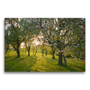 Premium Textil-Leinwand 75 x 50 cm Quer-Format In den Streuobstwiesen | Wandbild, HD-Bild auf Keilrahmen, Fertigbild auf hochwertigem Vlies, Leinwanddruck von GUGIGEI