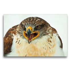 Premium Textil-Leinwand 75 x 50 cm Quer-Format Koenigsraufussbussard – Buteo regalis | Wandbild, HD-Bild auf Keilrahmen, Fertigbild auf hochwertigem Vlies, Leinwanddruck von Dirk Grasse