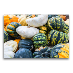 Premium Textil-Leinwand 75 x 50 cm Quer-Format Kurbis Sorten Patisson, Sweet Dumpling, Accorn und Halloween | Wandbild, HD-Bild auf Keilrahmen, Fertigbild auf hochwertigem Vlies, Leinwanddruck von Dieter Meyer