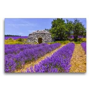 Premium Textil-Leinwand 75 x 50 cm Quer-Format Lavendefeld mit Steinhütte | Wandbild, HD-Bild auf Keilrahmen, Fertigbild auf hochwertigem Vlies, Leinwanddruck von Jürgen Feuerer