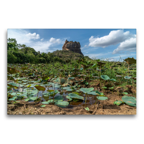 Premium Textil-Leinwand 75 x 50 cm Quer-Format Lotusfeld vor der Felsenfestung Sigiriya | Wandbild, HD-Bild auf Keilrahmen, Fertigbild auf hochwertigem Vlies, Leinwanddruck von Peter Hennrich