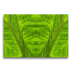 Premium Textil-Leinwand 75 x 50 cm Quer-Format Mammutbaum | Wandbild, HD-Bild auf Keilrahmen, Fertigbild auf hochwertigem Vlies, Leinwanddruck von Dagmar Laimgruber