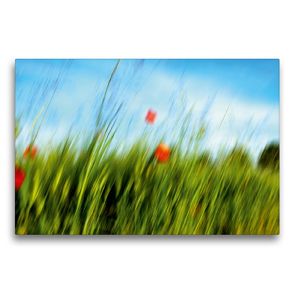 Premium Textil-Leinwand 75 x 50 cm Quer-Format MohnARTig | Wandbild, HD-Bild auf Keilrahmen, Fertigbild auf hochwertigem Vlies, Leinwanddruck von Martina Marten
