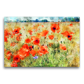 Premium Textil-Leinwand 75 x 50 cm Quer-Format Mohnblumen auf einem Feld. | Wandbild, HD-Bild auf Keilrahmen, Fertigbild auf hochwertigem Vlies, Leinwanddruck von Anja Frost