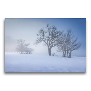 Premium Textil-Leinwand 75 x 50 cm Quer-Format Nebelbäume am Königssee | Wandbild, HD-Bild auf Keilrahmen, Fertigbild auf hochwertigem Vlies, Leinwanddruck von Christian Müringer