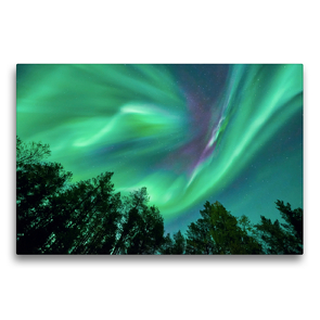 Premium Textil-Leinwand 75 x 50 cm Quer-Format Nordlichter im Wald | Wandbild, HD-Bild auf Keilrahmen, Fertigbild auf hochwertigem Vlies, Leinwanddruck von Pierre Oesterle