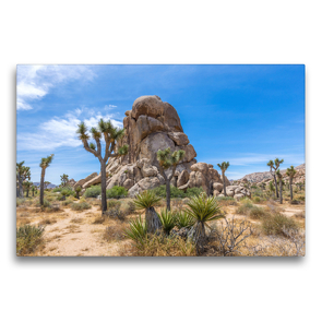 Premium Textil-Leinwand 75 x 50 cm Quer-Format Roadside Rock, Joshua Tree National Park | Wandbild, HD-Bild auf Keilrahmen, Fertigbild auf hochwertigem Vlies, Leinwanddruck von Melanie Viola