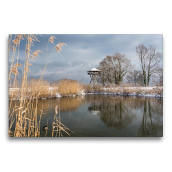 Premium Textil-Leinwand 75 x 50 cm Quer-Format Seeburgpark und Seeburgturm in Kreuzlingen am Bodensee | Wandbild, HD-Bild auf Keilrahmen, Fertigbild auf hochwertigem Vlies, Leinwanddruck von Gabi Emser und Rainer Awiszus-Emser