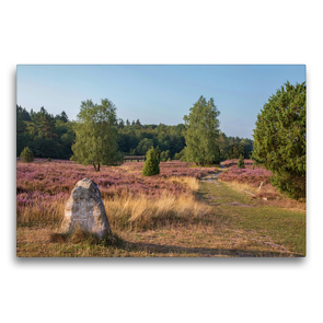 Premium Textil-Leinwand 75 x 50 cm Quer-Format Sehenswertes Naturschutzgebiet Lüneburger Heide | Wandbild, HD-Bild auf Keilrahmen, Fertigbild auf hochwertigem Vlies, Leinwanddruck von Heike Nack